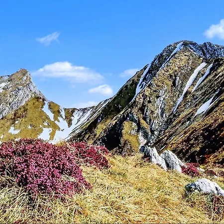 Casa Dolce Apartman Pigna